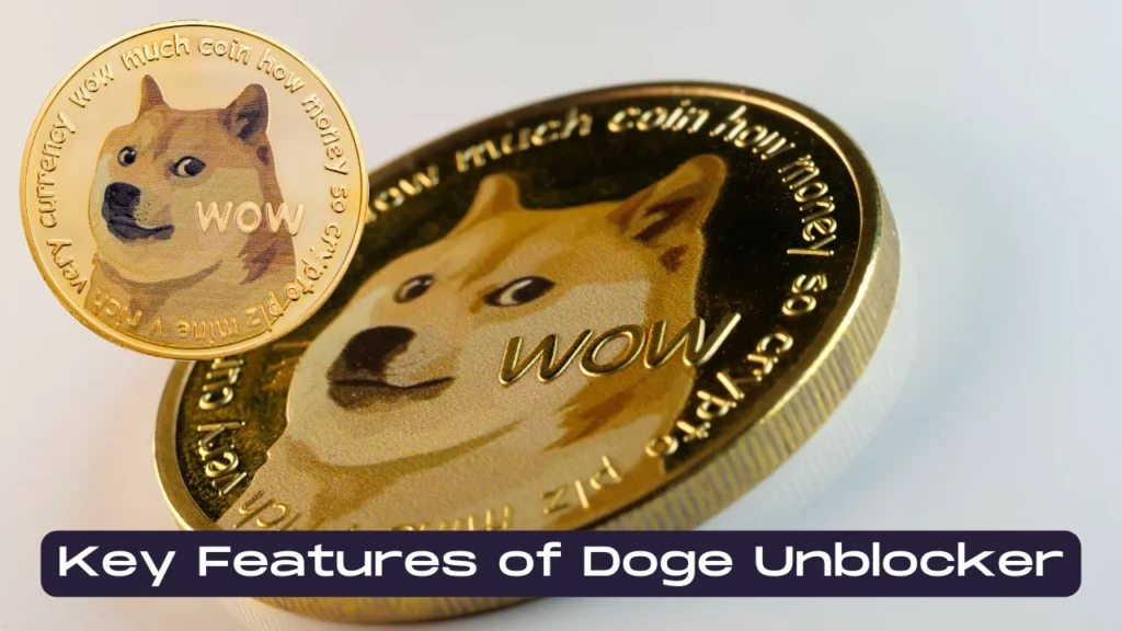 Key Features of Doge Unblocker
